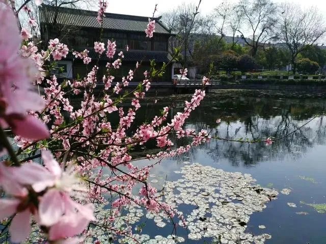 南京有哪些地方值得摄影师去拍照?