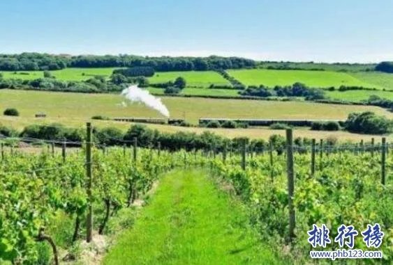 白葡萄酒十大排名，白葡萄酒什么牌子好