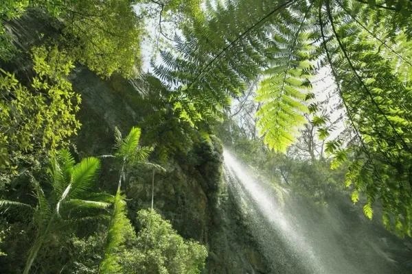 亚马逊的大火依旧燃烧，雨林大火跟我们中国人到底有没有关系？