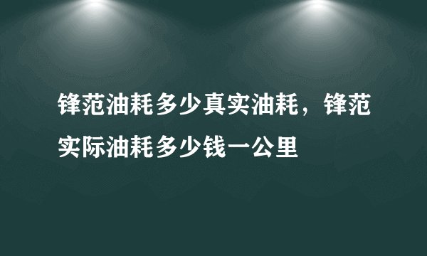 锋范油耗多少真实油耗，锋范实际油耗多少钱一公里