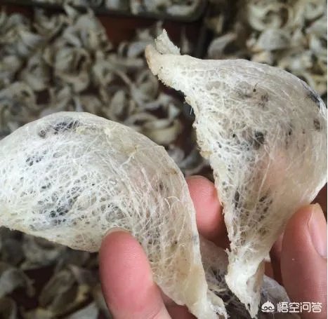 什么牌子的燕窝比较好？值得推荐的燕窝品牌有哪些？