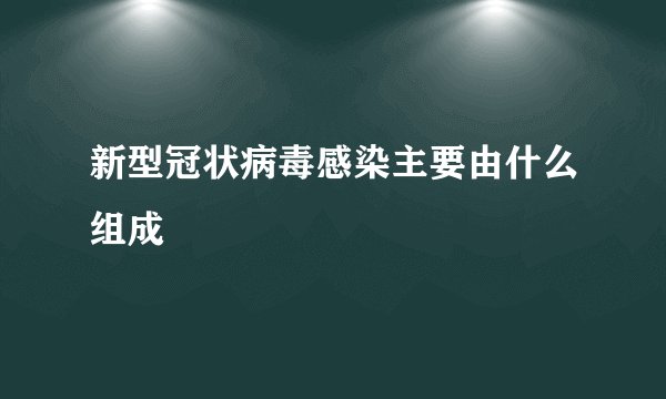 新型冠状病毒感染主要由什么组成