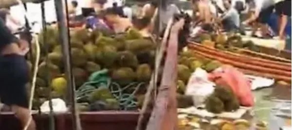哄抢榴莲村民食物中毒，榴莲是如何散落的？