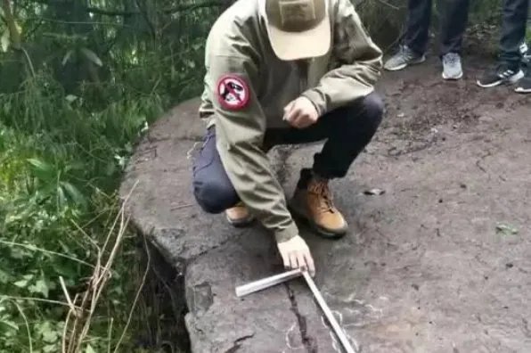 小男孩发现恐龙足迹,他是在哪里发现的?