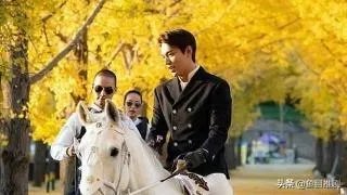 最新韩剧李敏镐金高银的《The King:永远的君主》你会看吗？