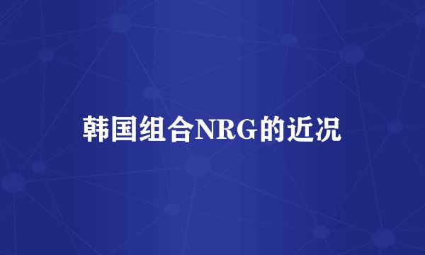 韩国组合NRG的近况