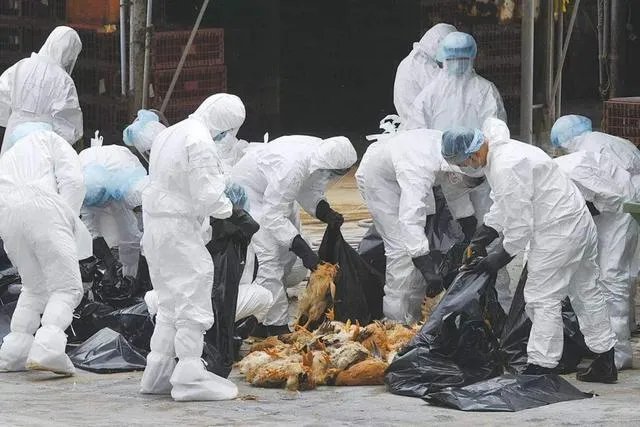 美国确诊病例超3198万例，死亡超57.1万例，为什么会这么严重?