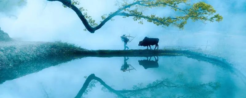 《四时田园杂兴》古诗其一