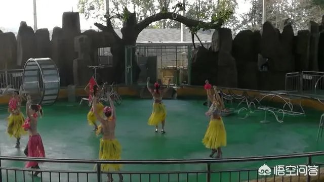 海丝动物园好玩吗