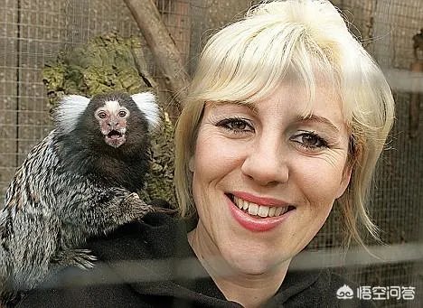 人和动物最大的相同点是什么？