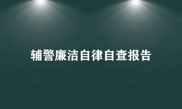 辅警廉洁自律自查报告
