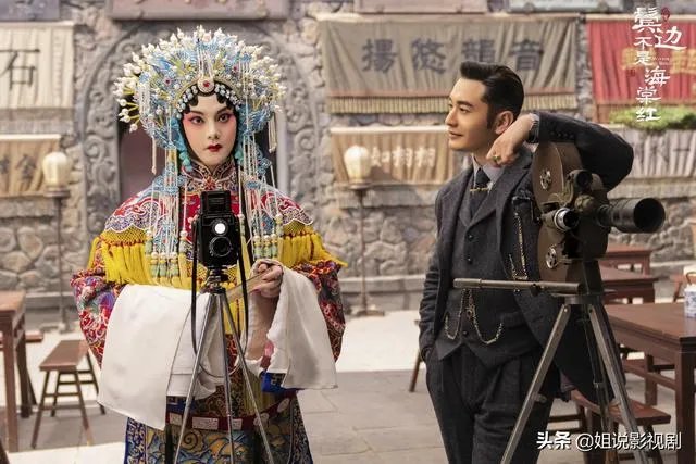 《鬓边不是海棠红》小说讲的什么？