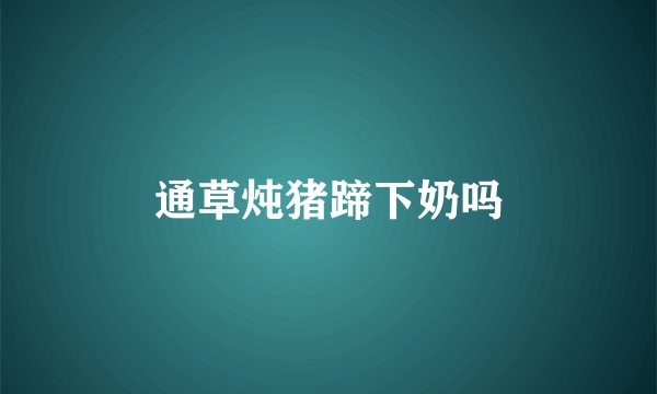 通草炖猪蹄下奶吗