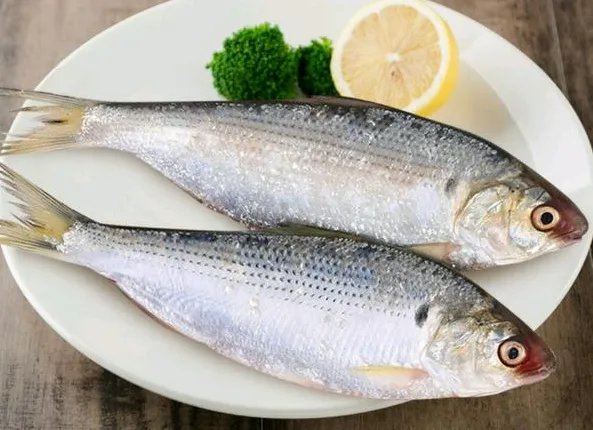 已婚女人梦见鱼是什么征兆