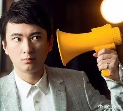 如何评价王思聪这个人？