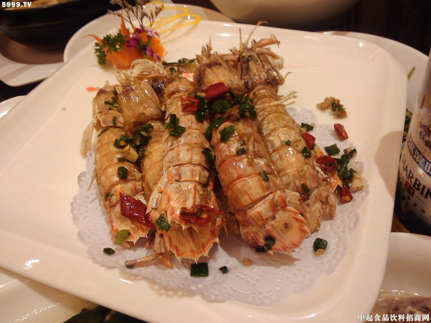 绿虾蛄的形态特征