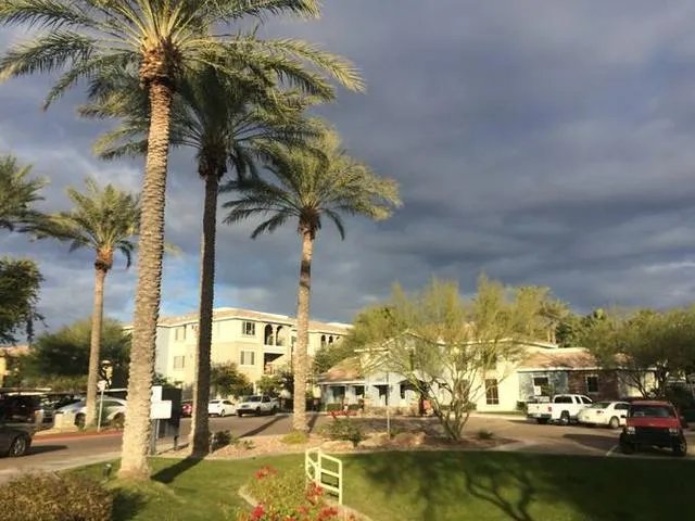 大家觉得NBA球队的logo中,哪只球队的logo最好看?