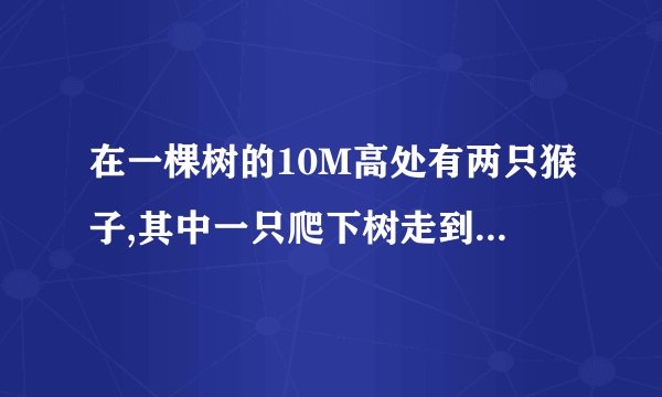 在一棵树的10M高处有两只猴子,其中一只爬下树走到离树20M处的池塘A处,另一只猴子爬上树顶后直接跃向
