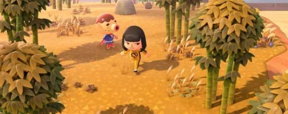 动物之森工具箱有什么用