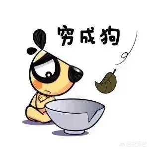 月薪6000在上海是什么水平？