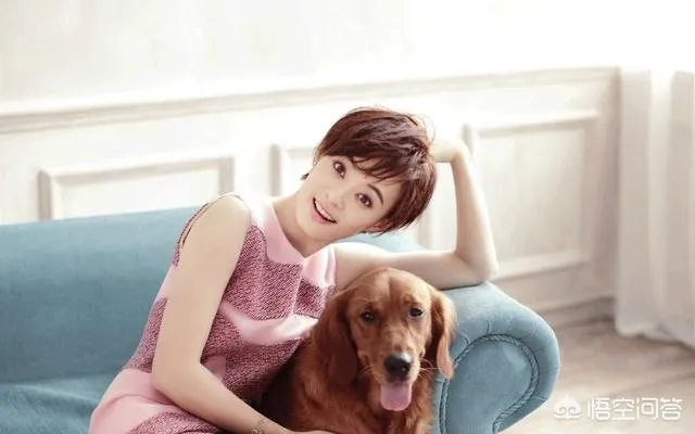 娱乐圈有哪些零绯闻的女演员，你最喜欢谁？