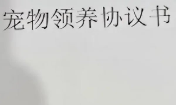 北京一对夫妻吵架却把狗子推下4楼，为何有人对宠物生命如此漠视？