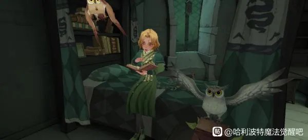 《哈利波特魔法觉醒》学院选择建议 各学院休息室、寝室介绍