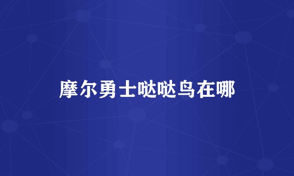摩尔勇士哒哒鸟在哪