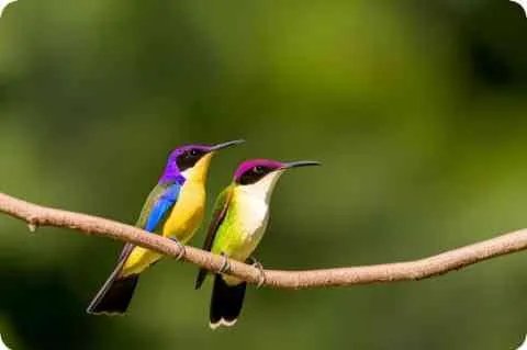 土行孙的师傅是谁