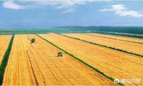 农村耕地出租多少钱一亩？直补归谁？