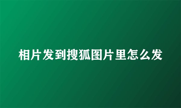 相片发到搜狐图片里怎么发