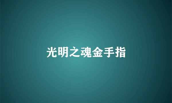 光明之魂金手指