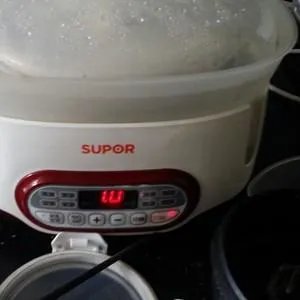 介绍几种木瓜炖汤的做法，家常点的