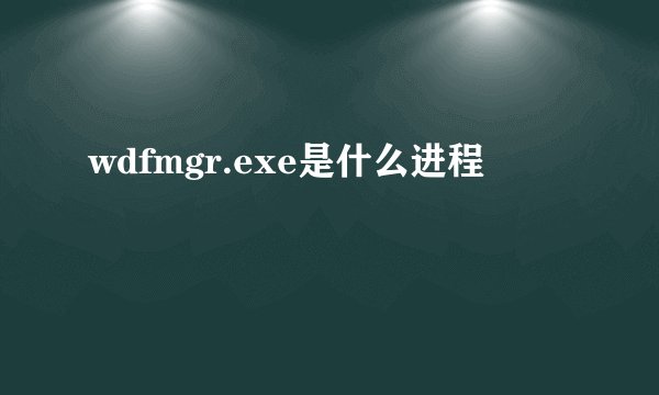wdfmgr.exe是什么进程
