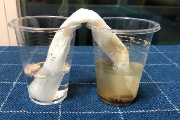 生活中毛细现象的例子有哪些？