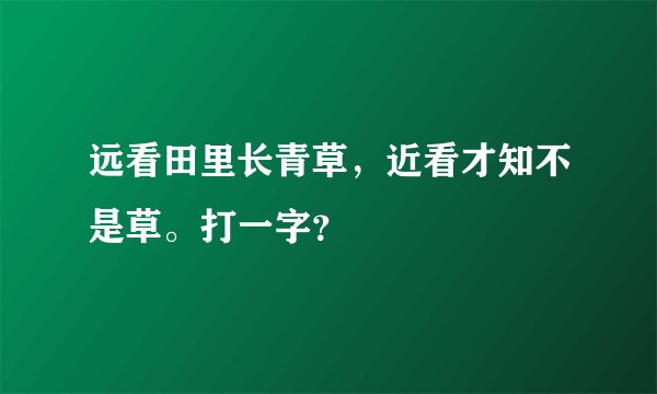 远看田里长青草，近看才知不是草。打一字？