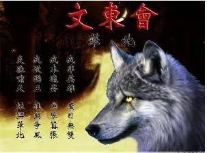 电视剧谢文东哪里可以看全集?