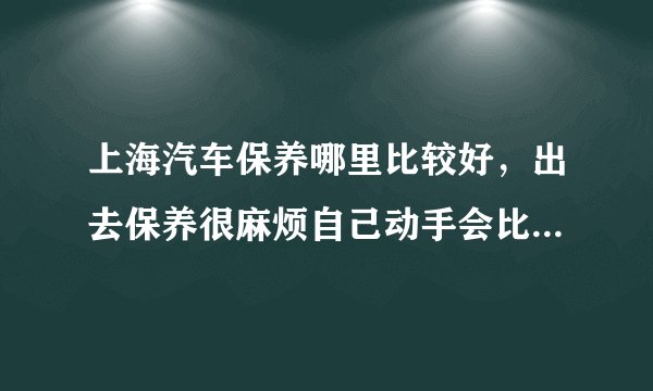 上海汽车保养哪里比较好，出去保养很麻烦自己动手会比较容易吗?