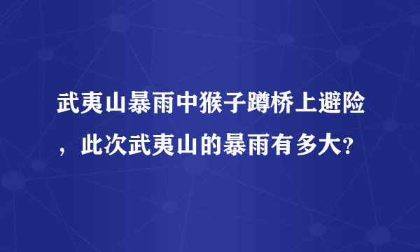 武夷山暴雨中猴子蹲桥上避险，此次武夷山的暴雨有多大？