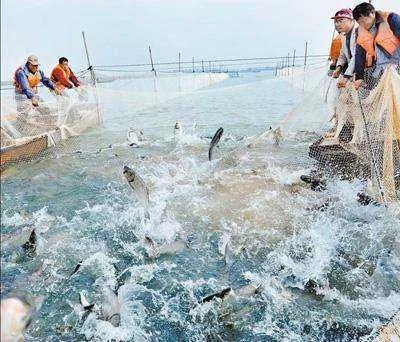 鄱阳属于江西的哪个市