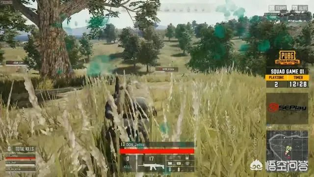 绝地求生澳洲邀请赛次日，中国队正赛第一场就吃鸡，你怎么看？