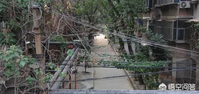 郑州居民楼外配电箱爆燃如“烟花”200多住户暑夜断电, 你怎么看？