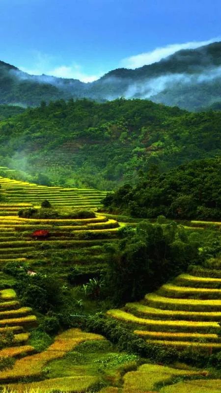 什么样的女人活的滋润 不累 洒脱 自在？