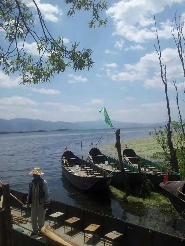 大理首次发现极危物种云南木莲, 你怎么看？