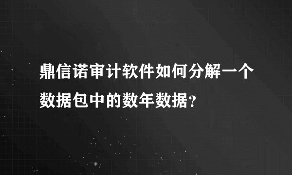 鼎信诺审计软件如何分解一个数据包中的数年数据？