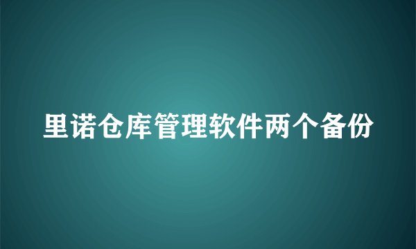 里诺仓库管理软件两个备份