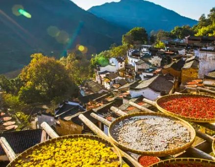 六月六是什么节日?有什么风俗?