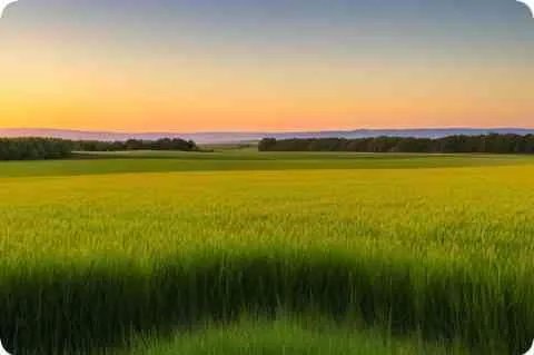 lia字开头的的四字成语