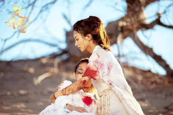 你怎样评价《楚乔传》的剧情？