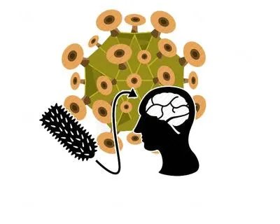 全球卫生紧急事件？一图看懂：90%致死率的“埃博拉”到底是什么